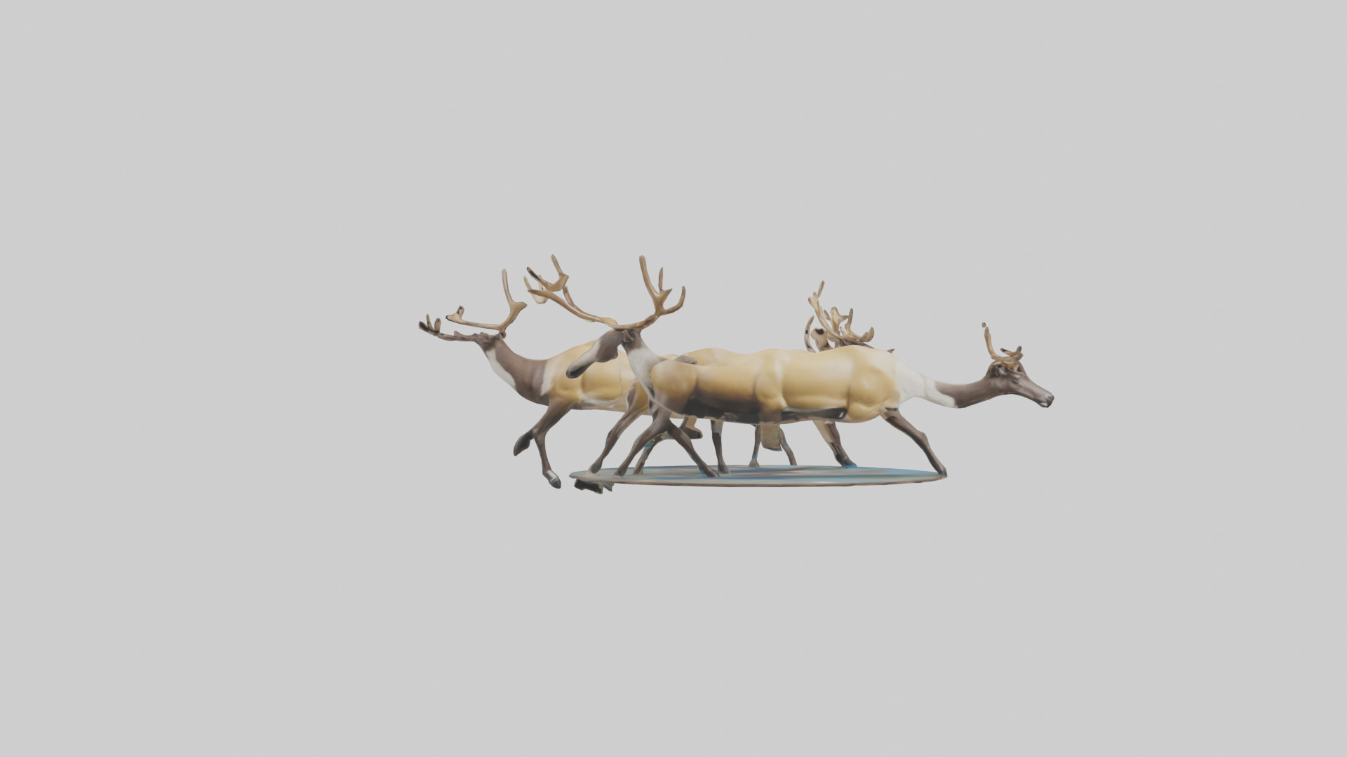 Caribou migrating model Low-poly 3D model_13
