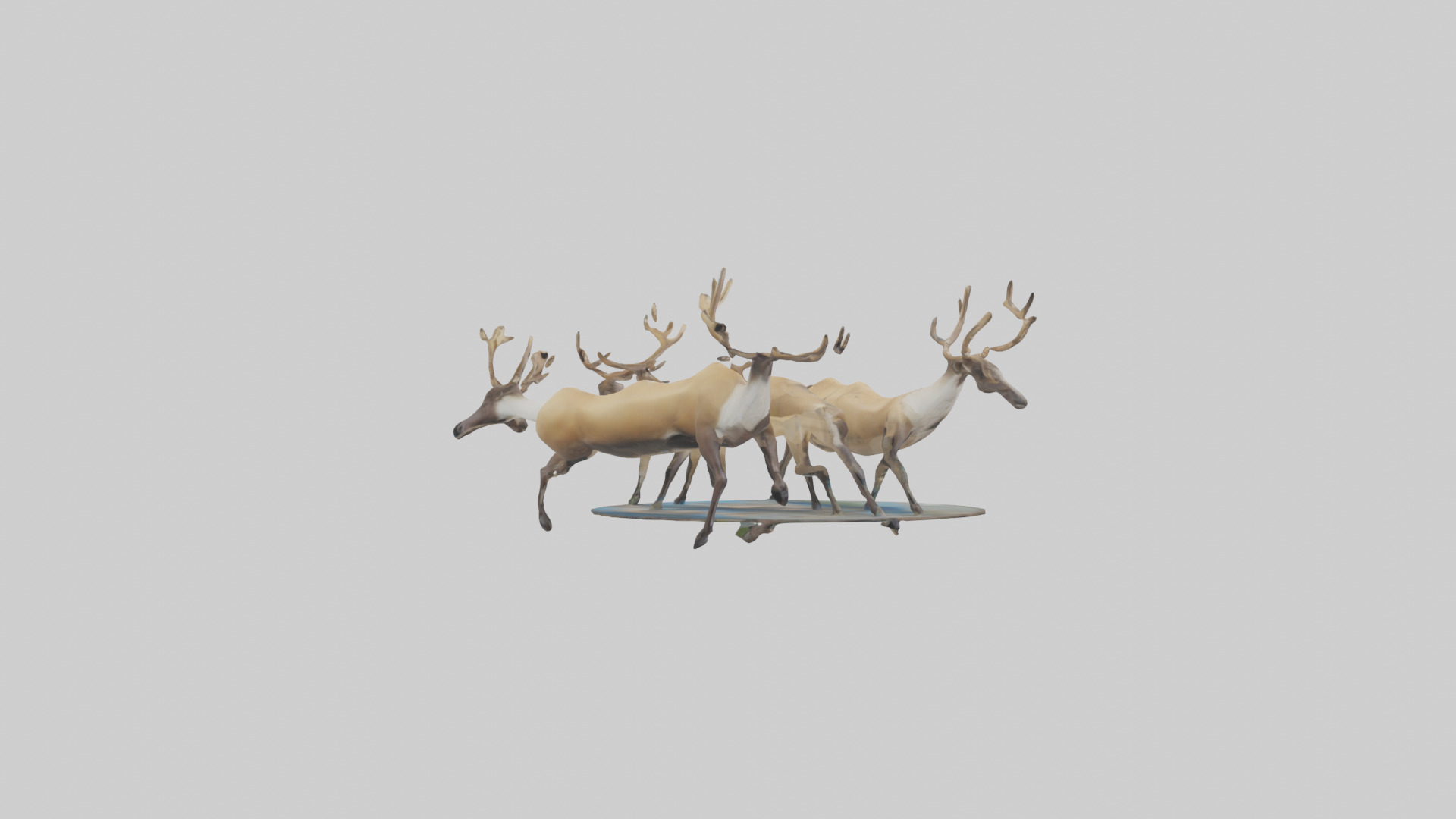 Caribou migrating model Low-poly 3D model_23