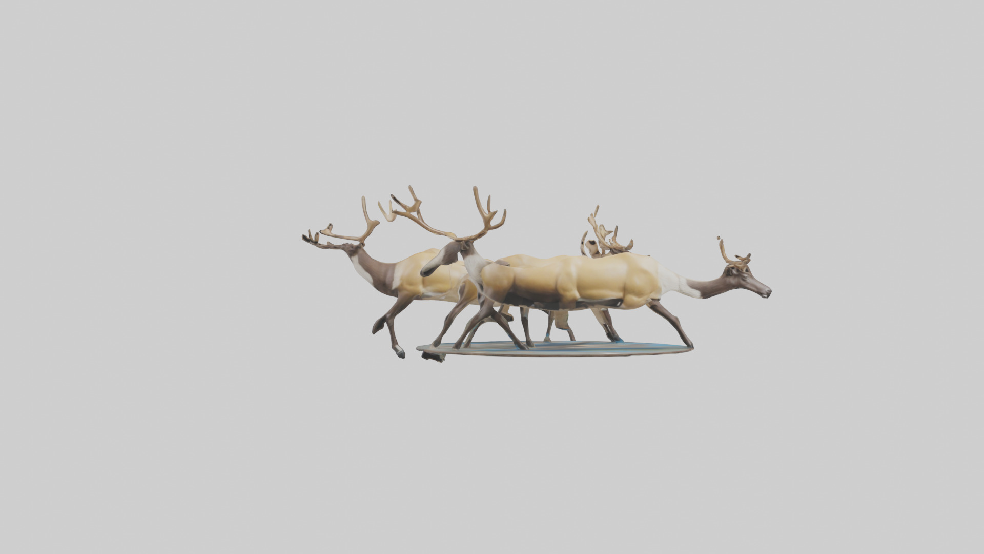 Caribou migrating model Low-poly 3D model_15