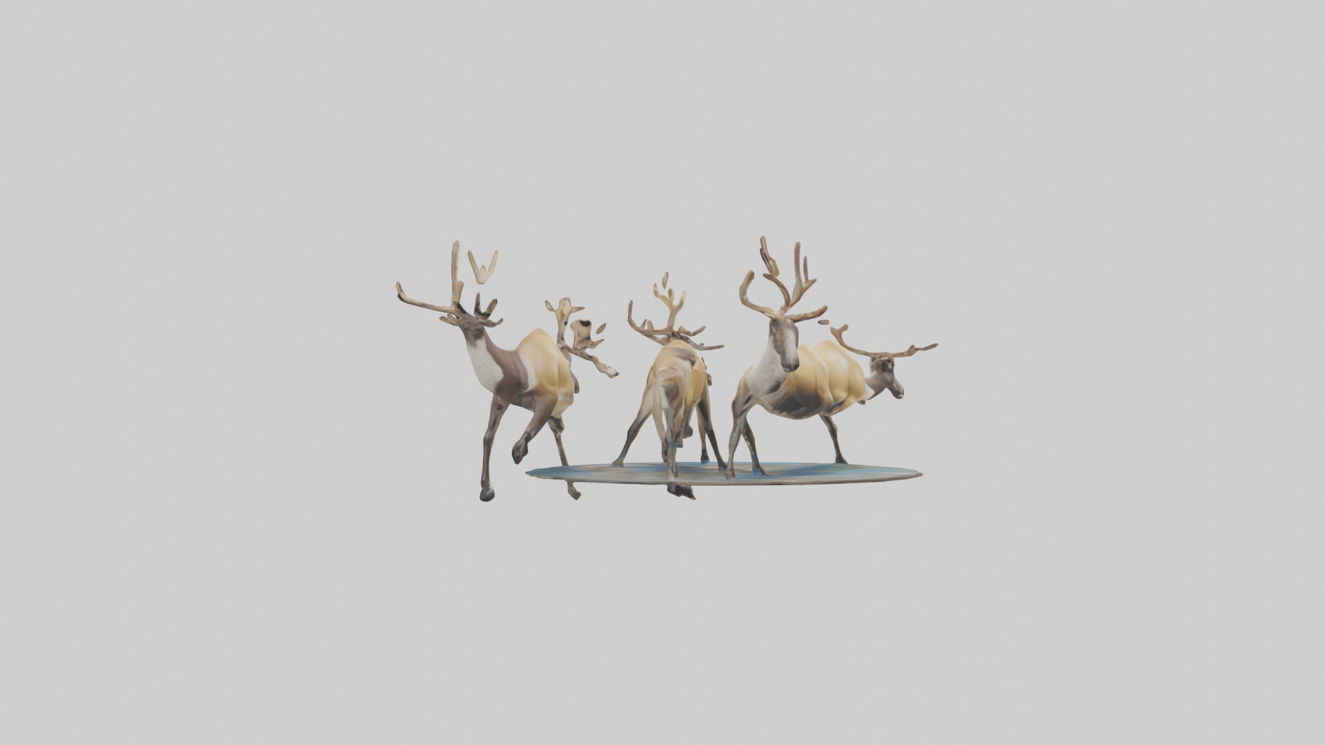 Caribou migrating model Low-poly 3D model_7
