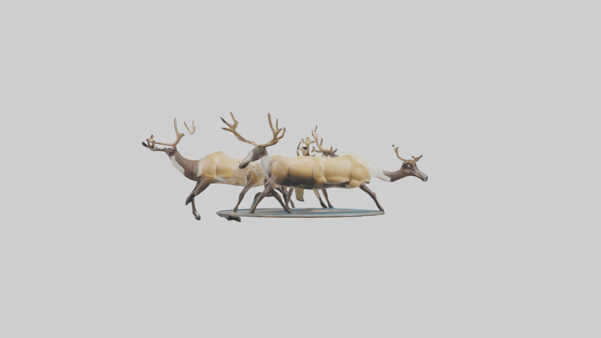 Caribou migrating model Low-poly 3D model_17