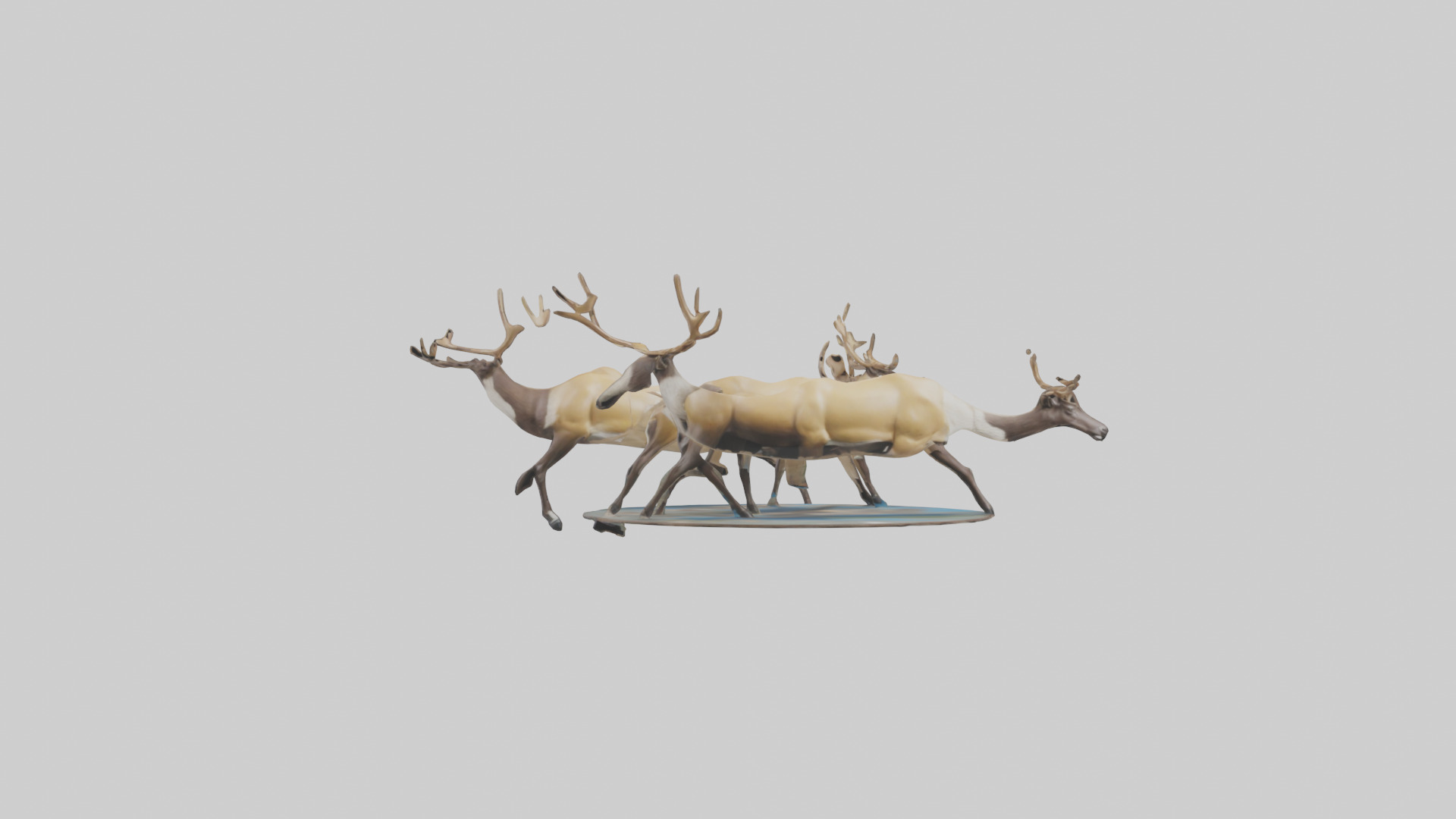 Caribou migrating model Low-poly 3D model_12