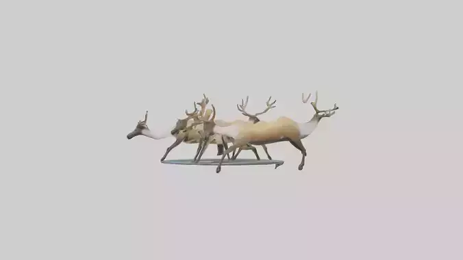 Caribou migrating model Low-poly 3D model