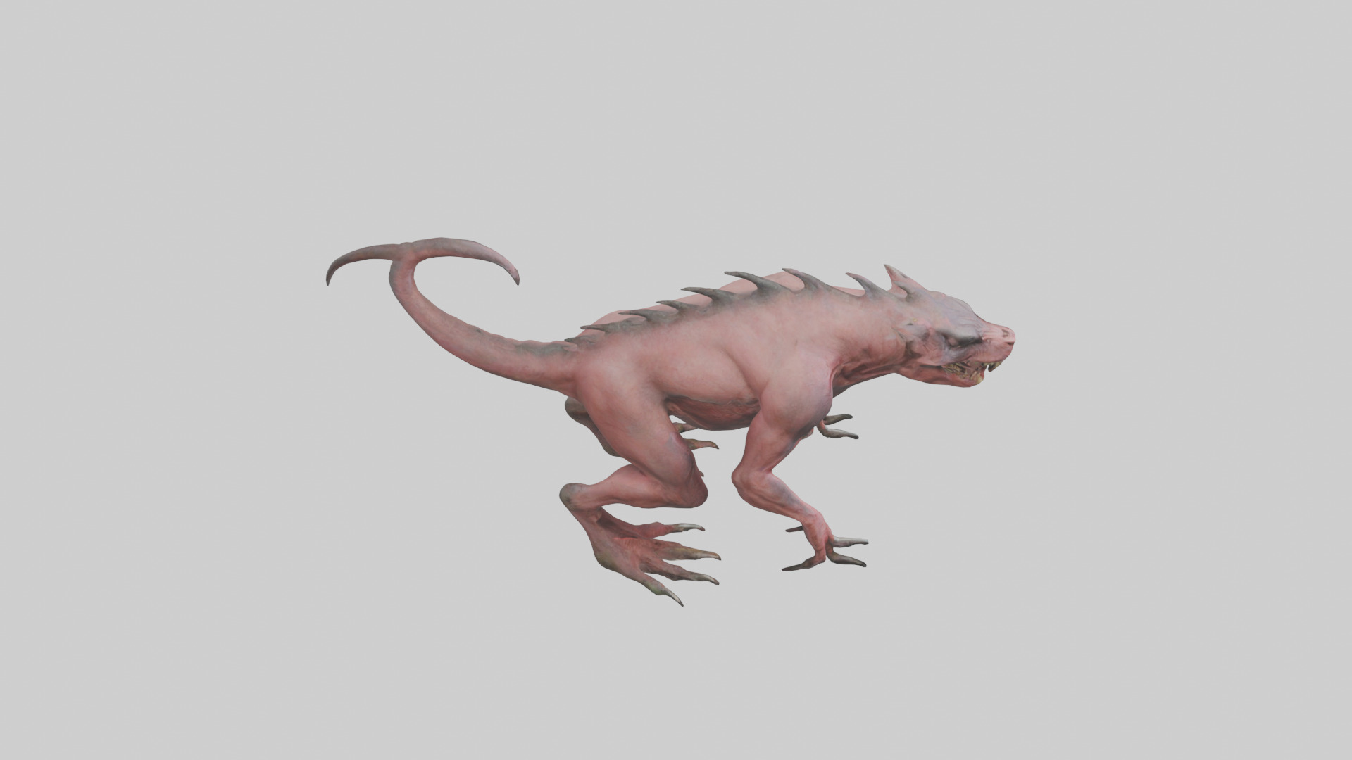 Carnivorous Beast model Low-poly 3D model_28
