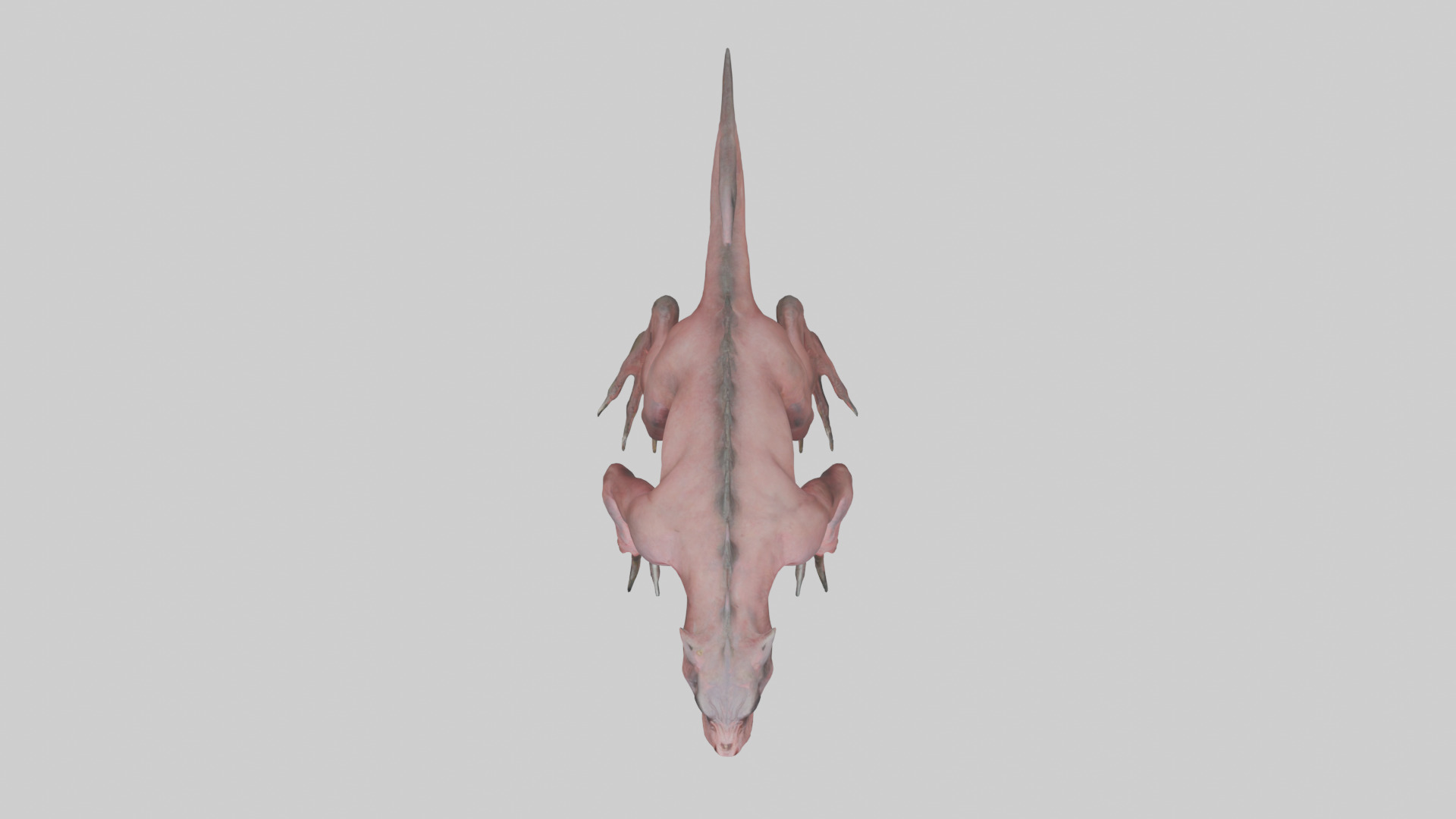 Carnivorous Beast model Low-poly 3D model_24