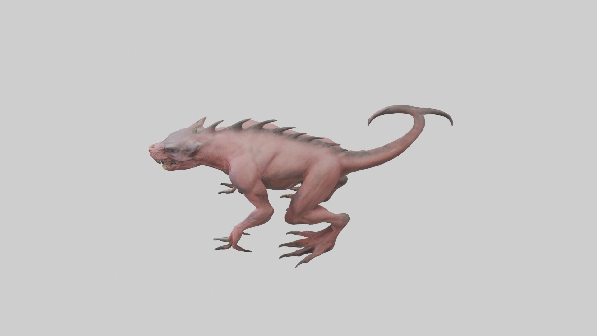 Carnivorous Beast model Low-poly 3D model_27