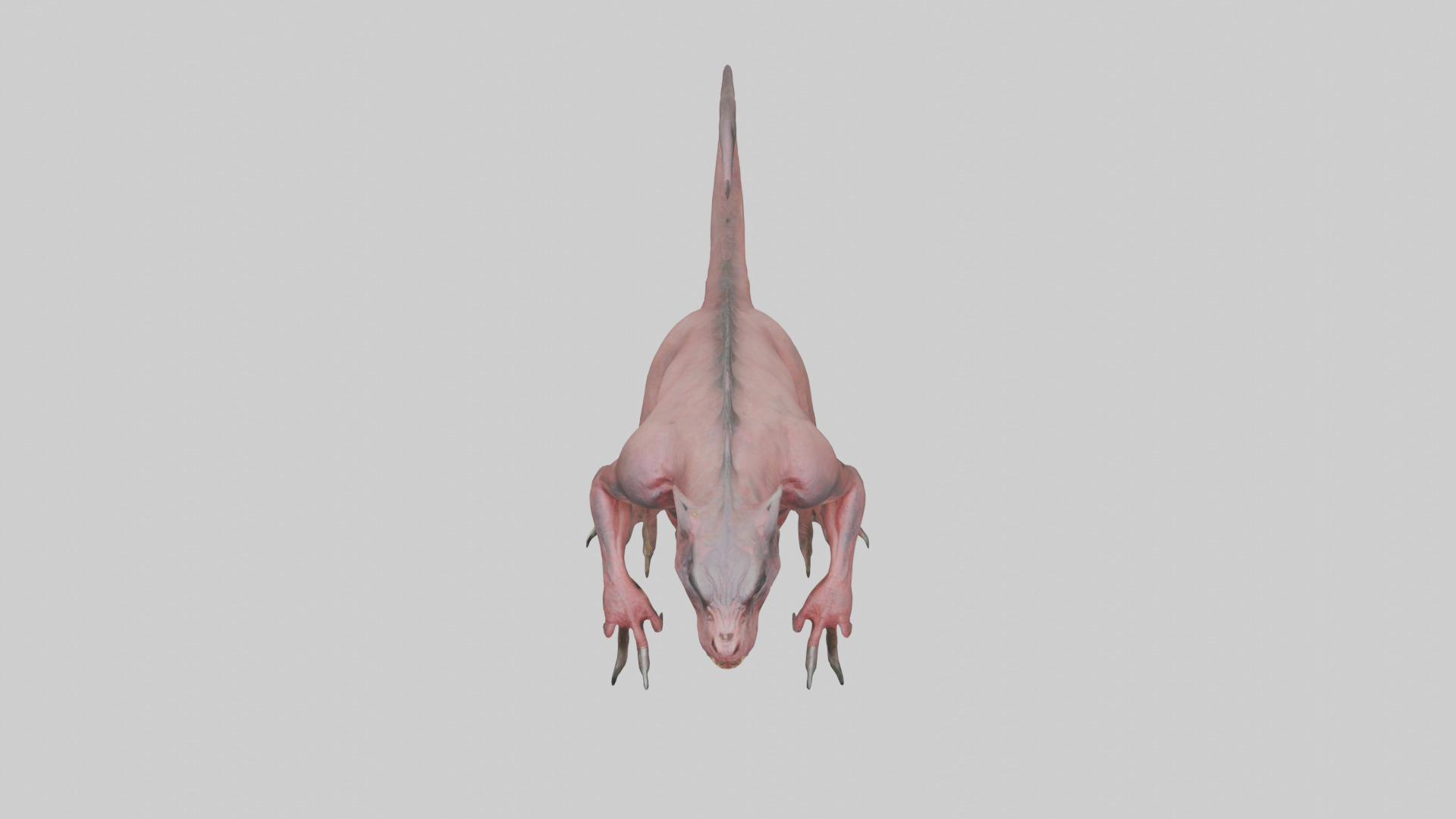 Carnivorous Beast model Low-poly 3D model_26