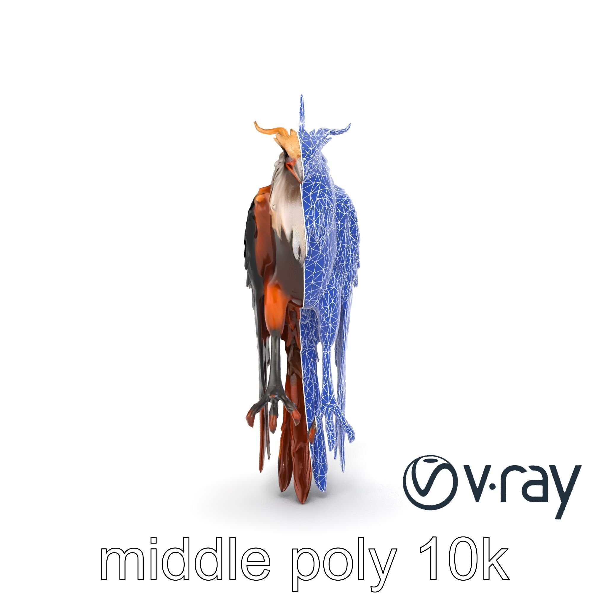 Elegant Harpy Creature Fantasy Model Pack Low-poly 3D model_24