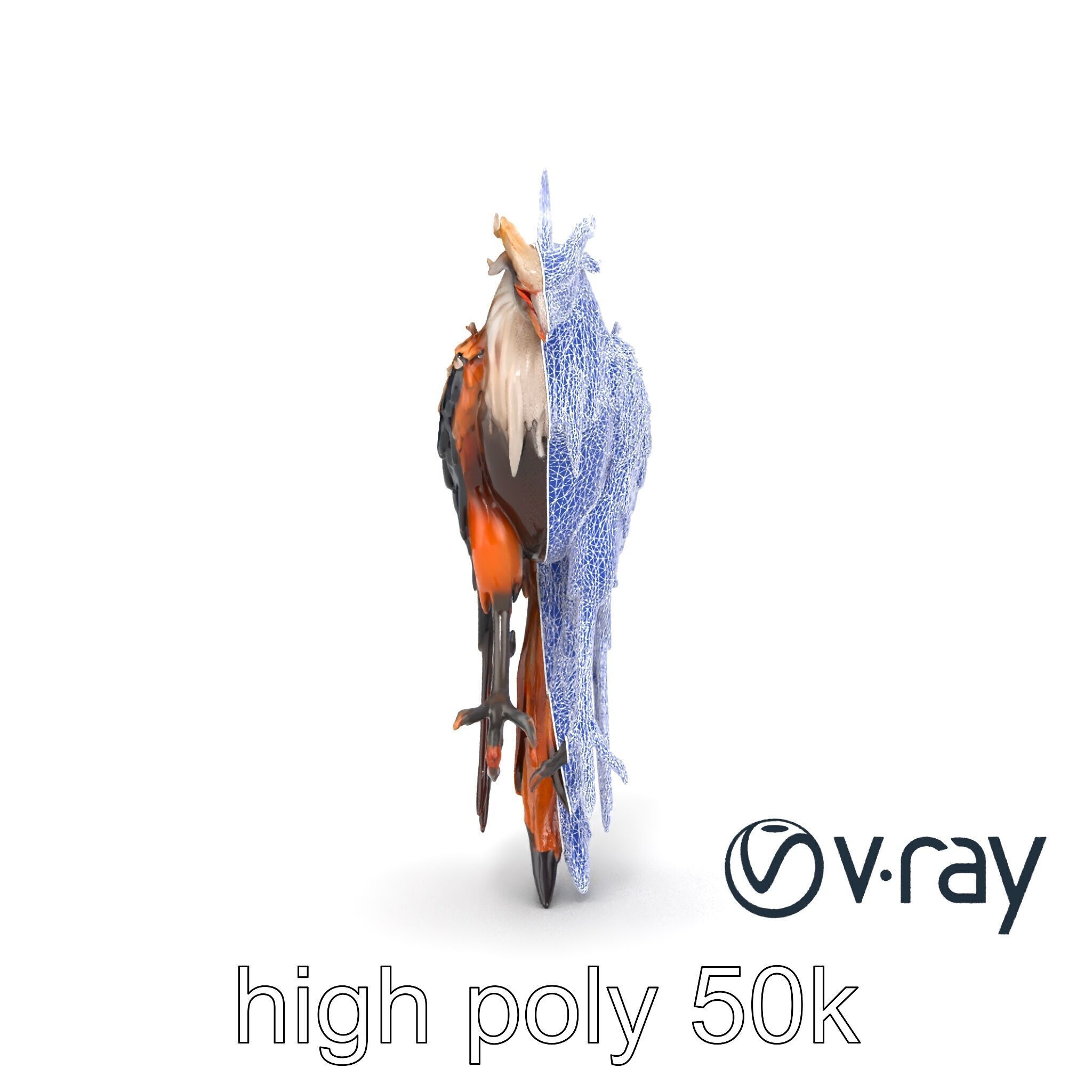 Elegant Harpy Creature Fantasy Model Pack Low-poly 3D model_23
