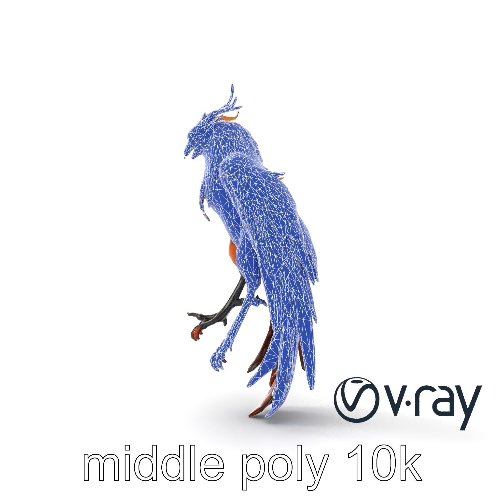 Elegant Harpy Creature Fantasy Model Pack Low-poly 3D model_27