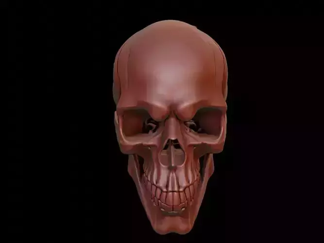Gothic Skull Mask 3d Printing