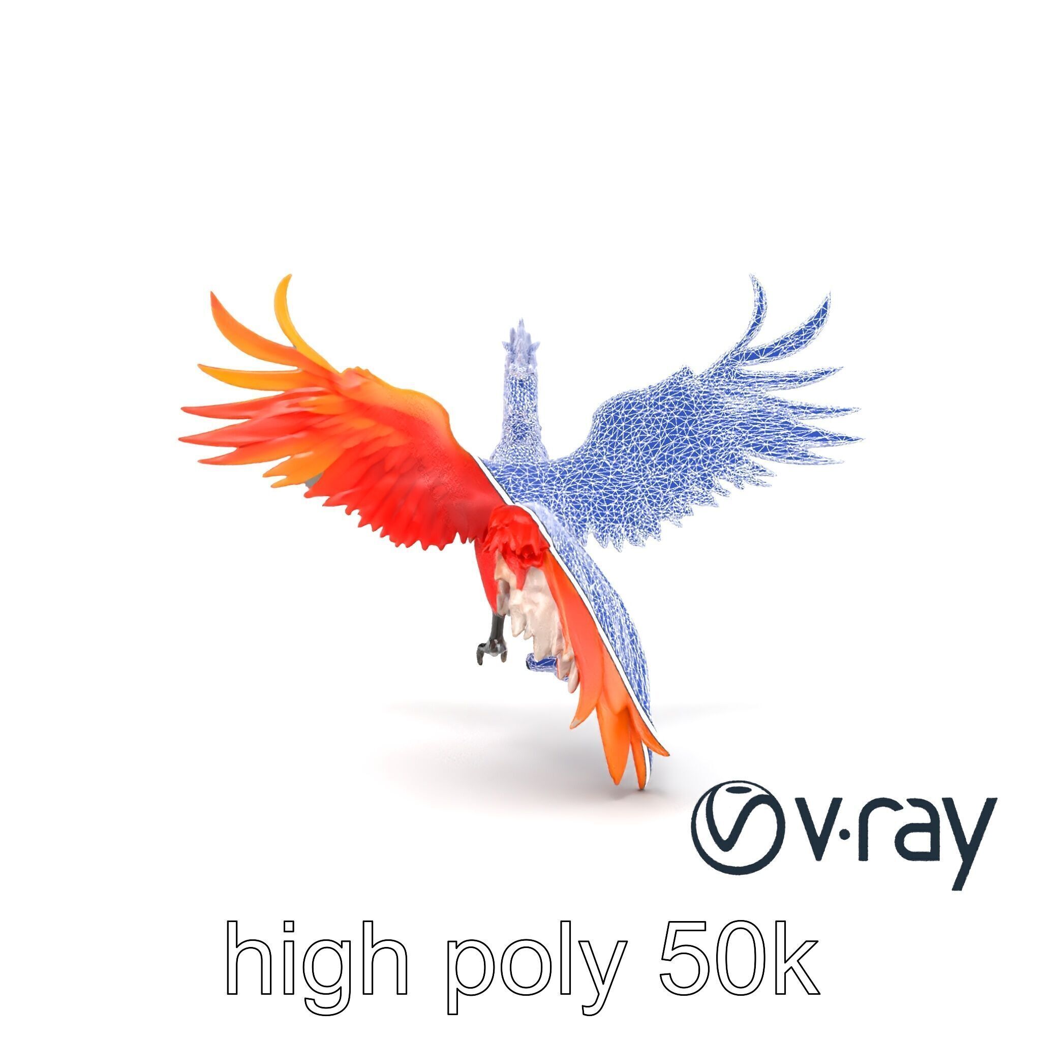 Majestic Phoenix Sculpture model pack Low-poly 3D model_19