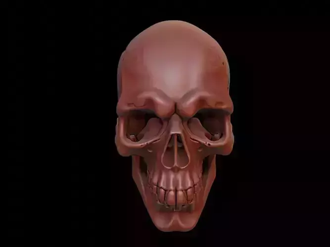 Gothic Skull Mask 3d Printing