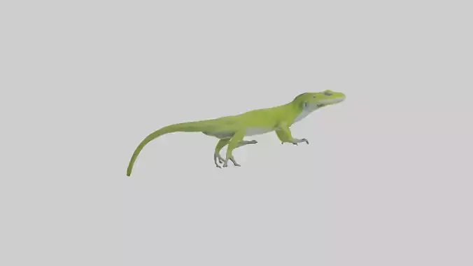 Carolina Anole climbing model
