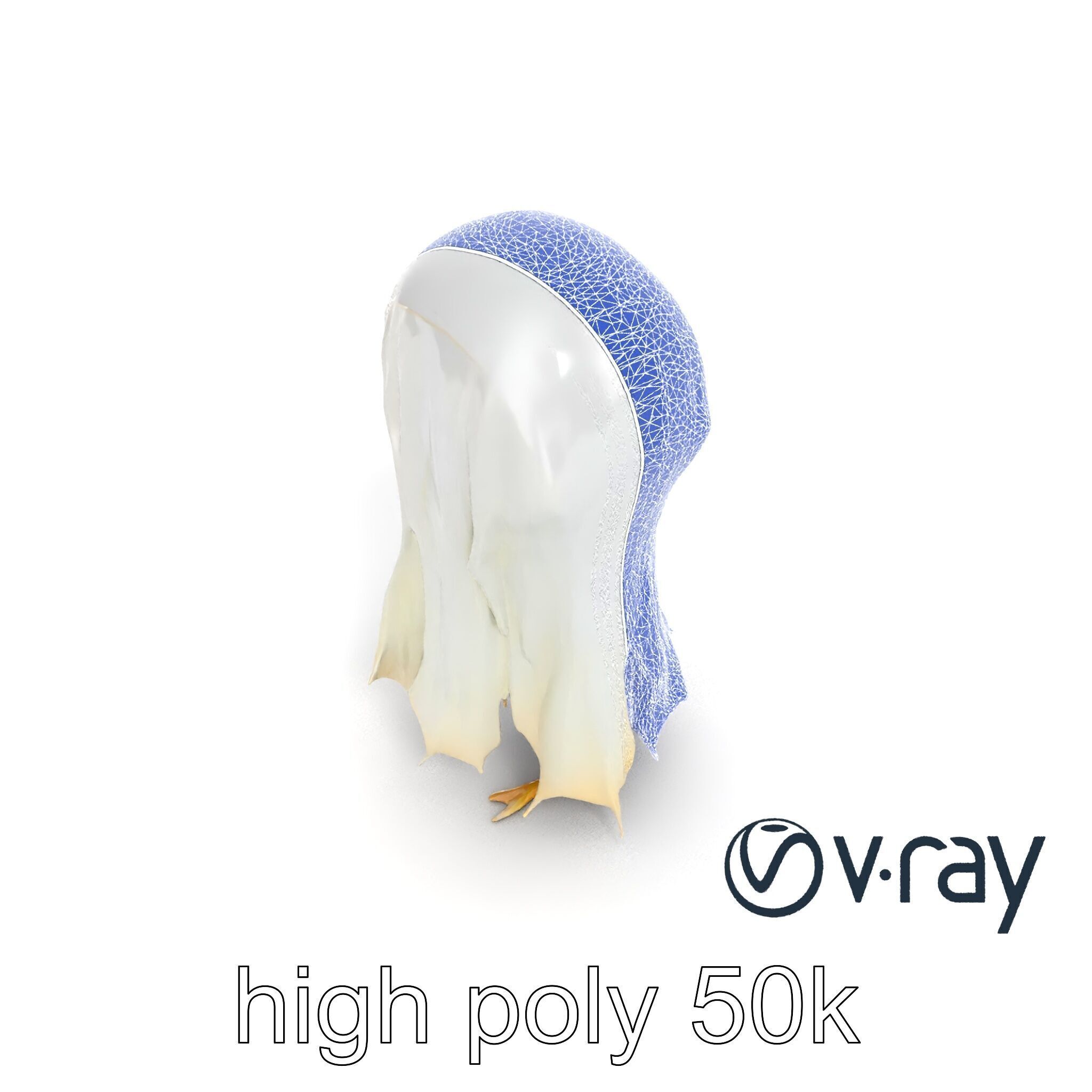 Translucent Ghost Tattered Appearance model pack Low-poly 3D model_27