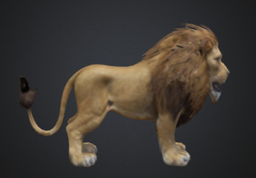 Majestic Game Ready Lion 3D Model Realistic And Rigged 3D model_3