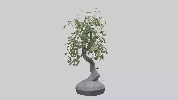 Cascade Plant Sculpture model