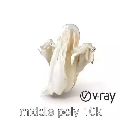 Ethereal Ghost Figure with Glowing Outline Model Pack Low-poly 3D model Ethereal Ghost Figure with Glowing Outline Model Pack Low-poly 3D model