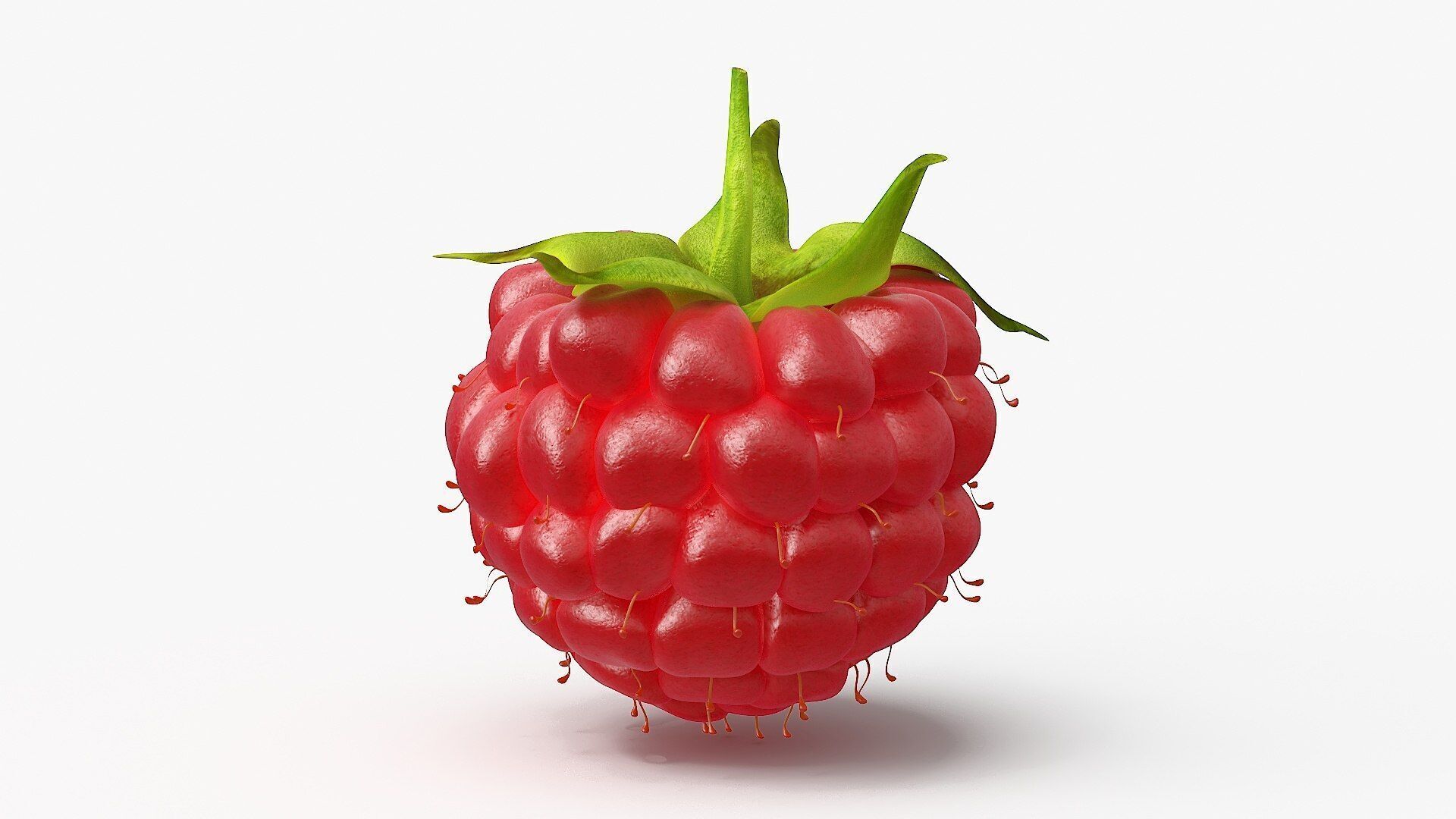 raspberry geometri nodes 3D model_3