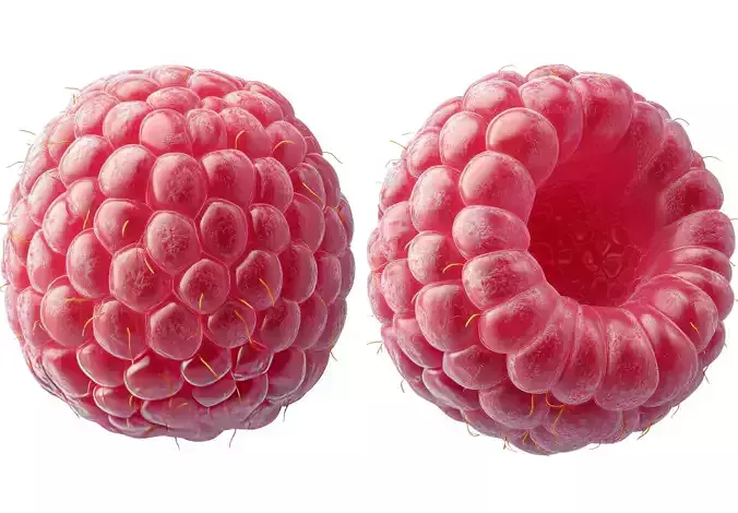 raspberry geometri nodes 3D model