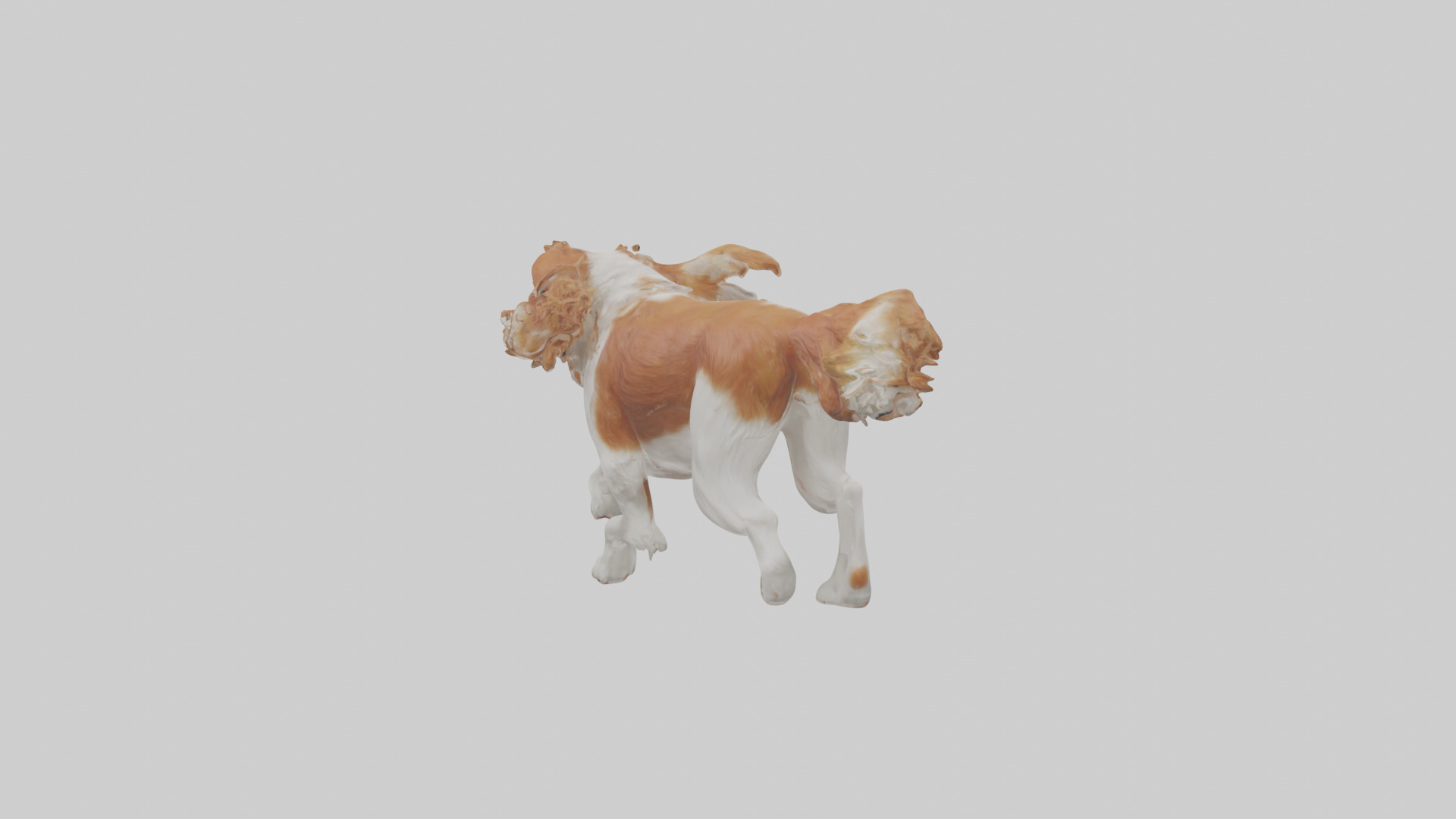 Cavalier King Charles Spaniel running model Low-poly 3D model_2
