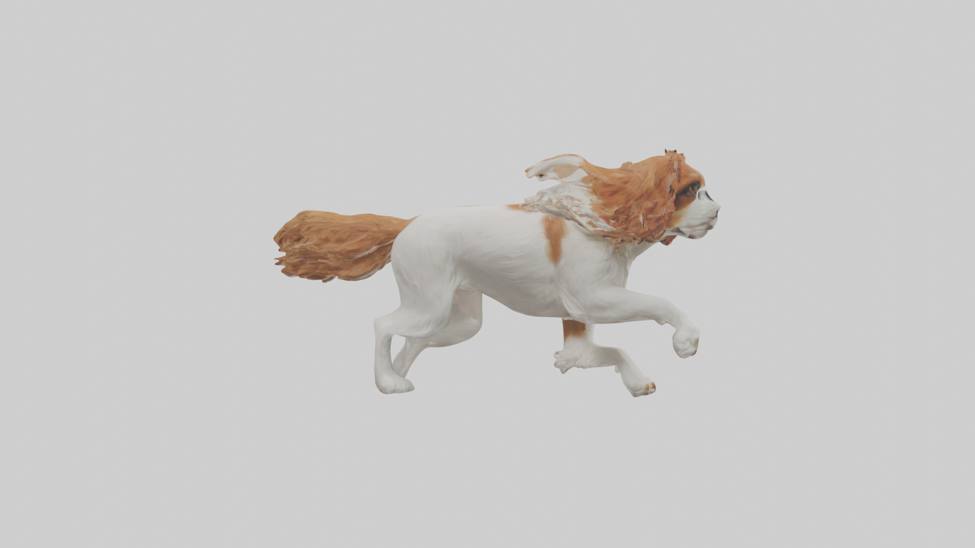 Cavalier King Charles Spaniel running model Low-poly 3D model_23