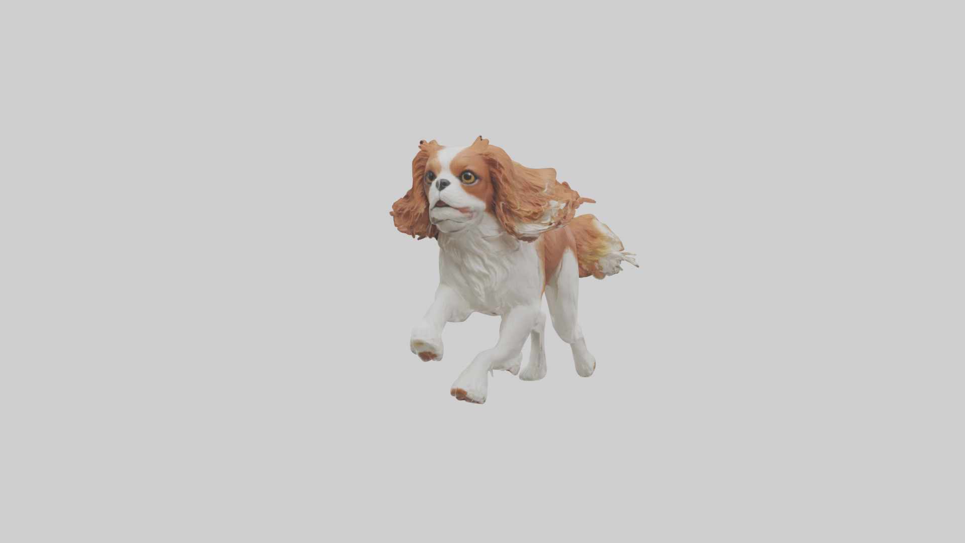 Cavalier King Charles Spaniel running model Low-poly 3D model_15
