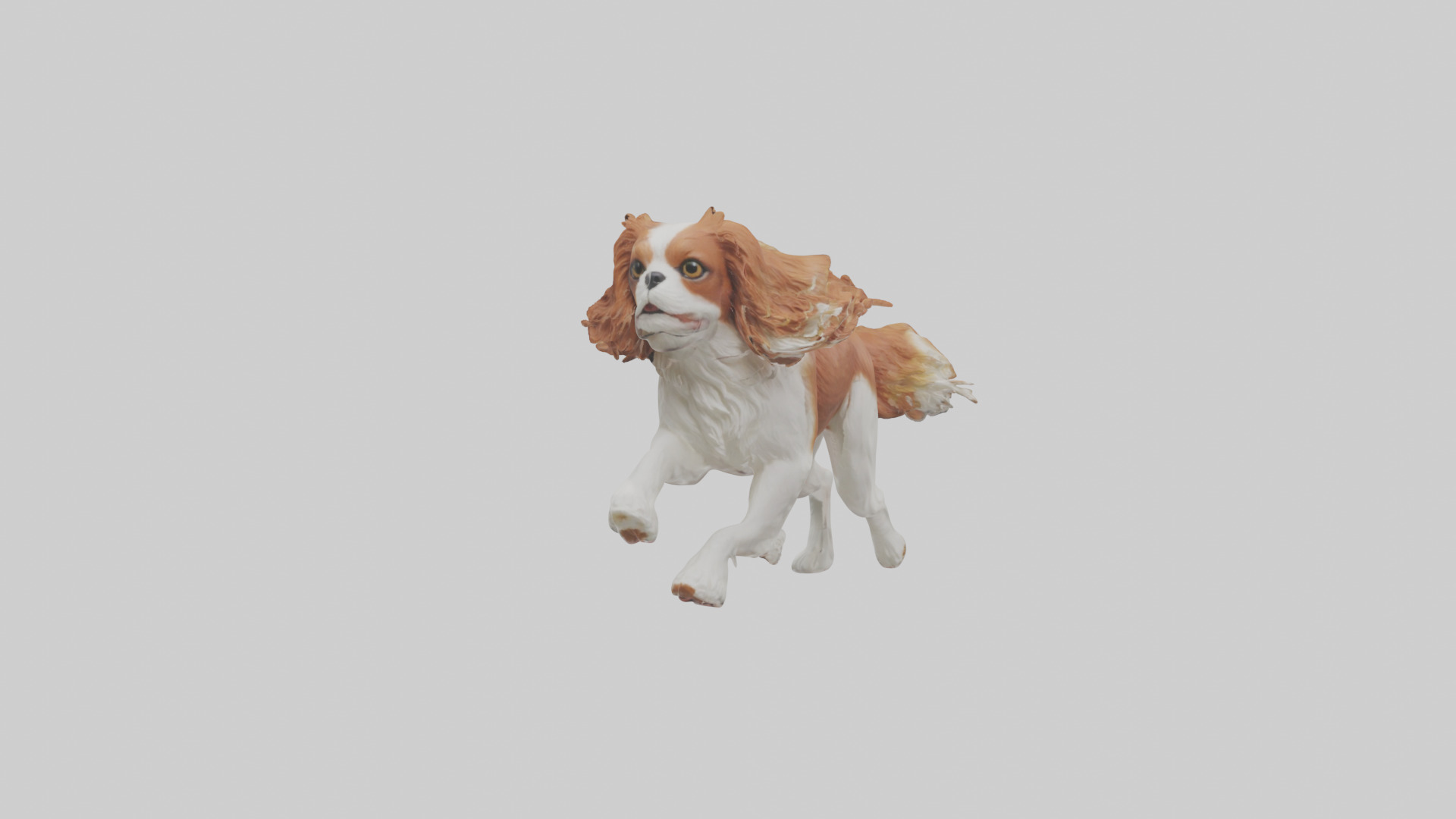 Cavalier King Charles Spaniel running model Low-poly 3D model_13