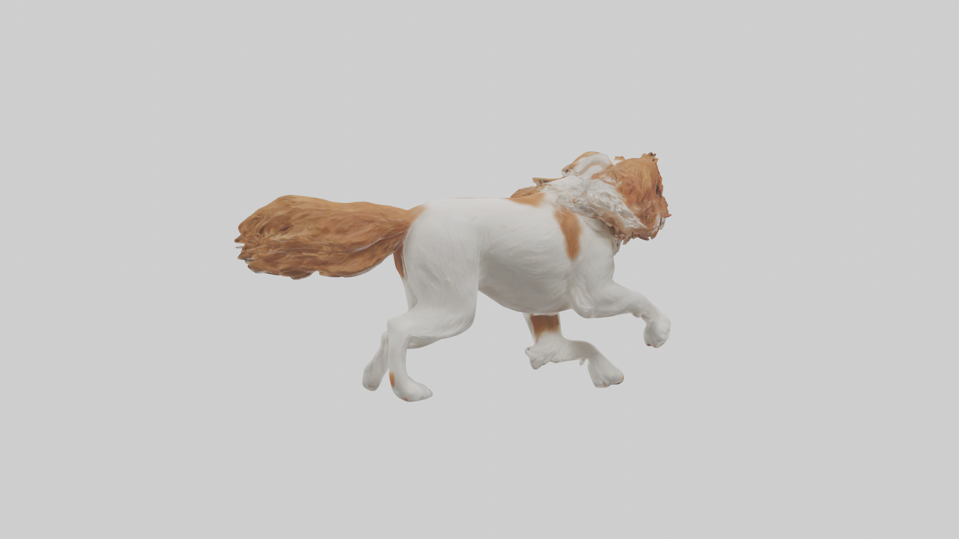 Cavalier King Charles Spaniel running model Low-poly 3D model_3