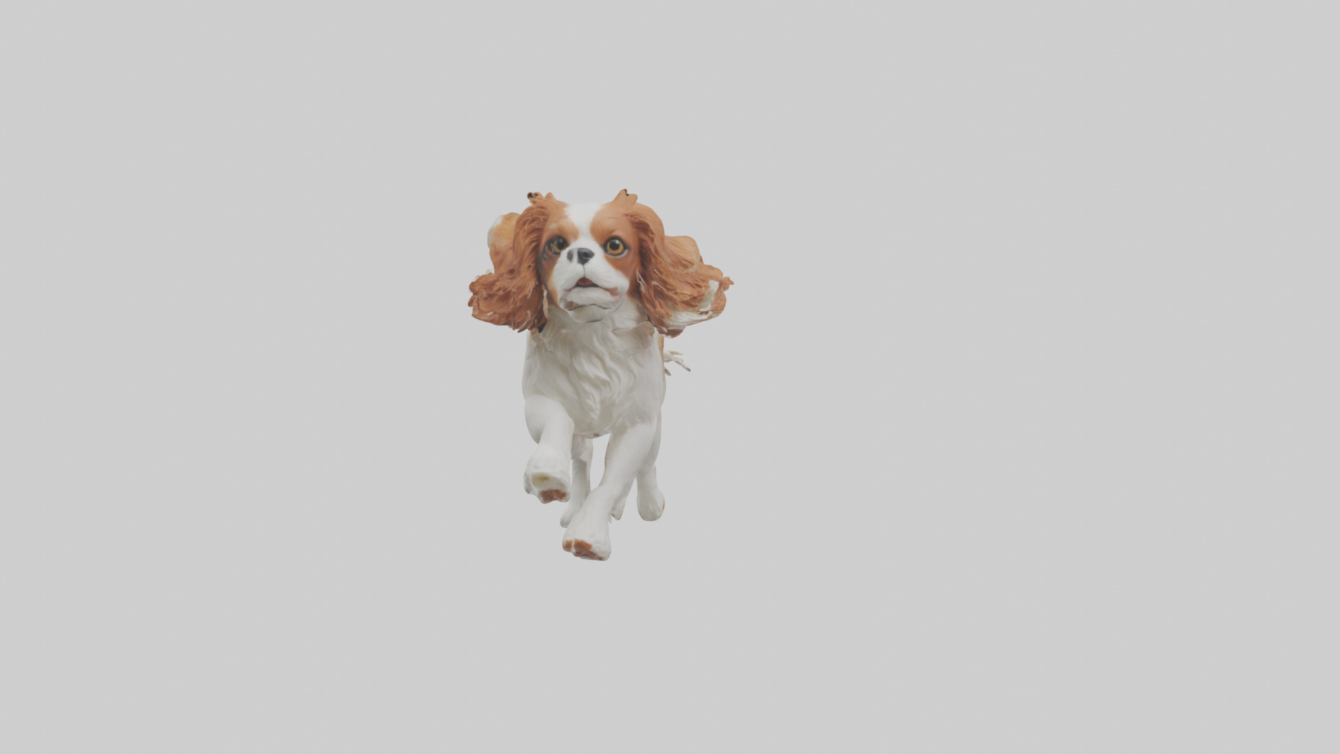 Cavalier King Charles Spaniel running model Low-poly 3D model_18