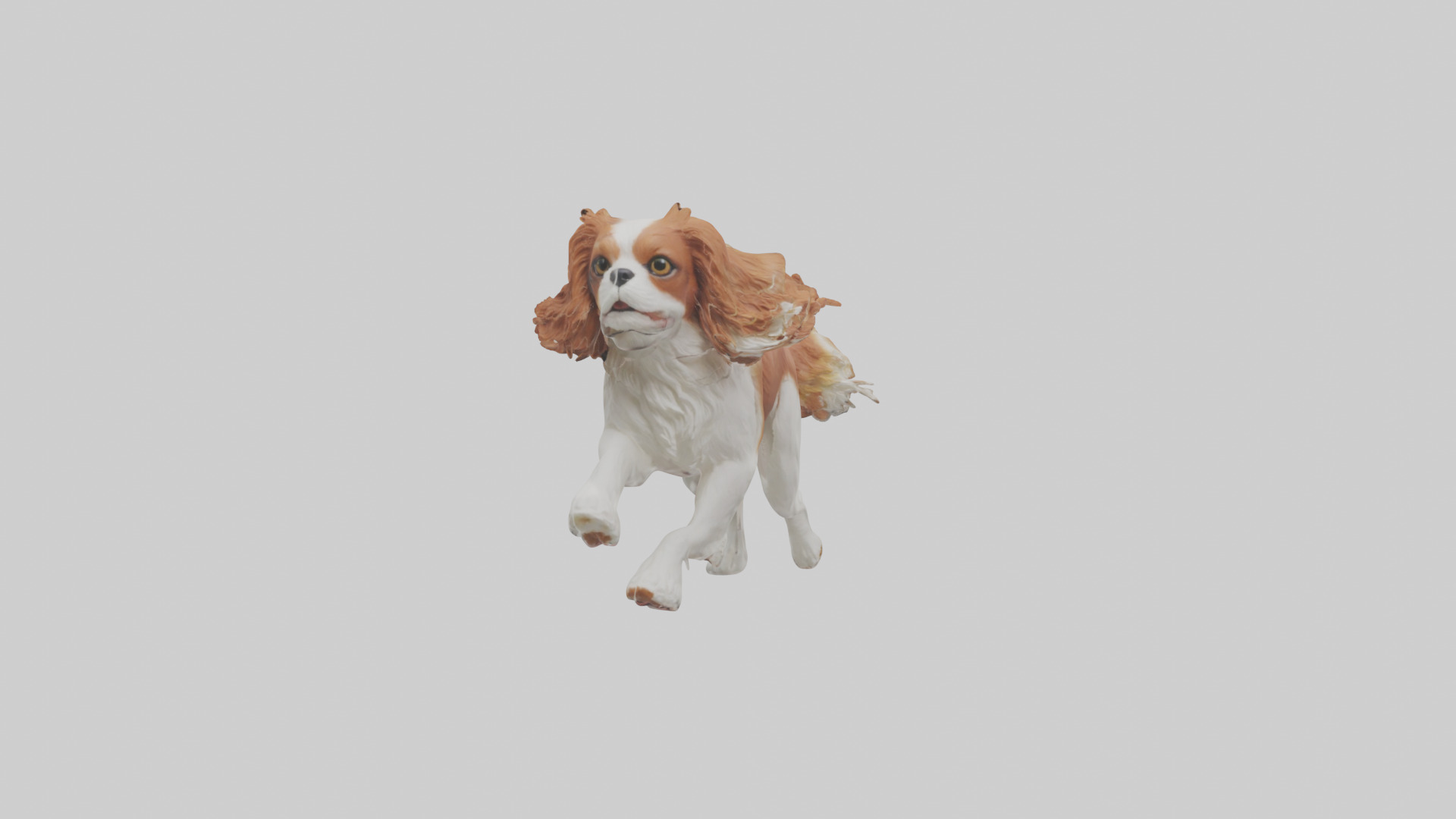 Cavalier King Charles Spaniel running model Low-poly 3D model_14
