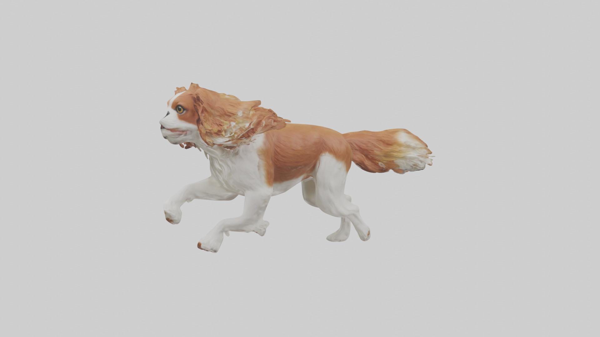 Cavalier King Charles Spaniel running model Low-poly 3D model_11