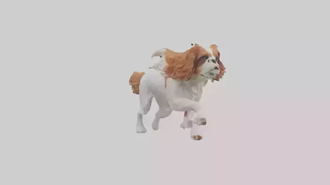 Cavalier King Charles Spaniel running model Low-poly 3D model