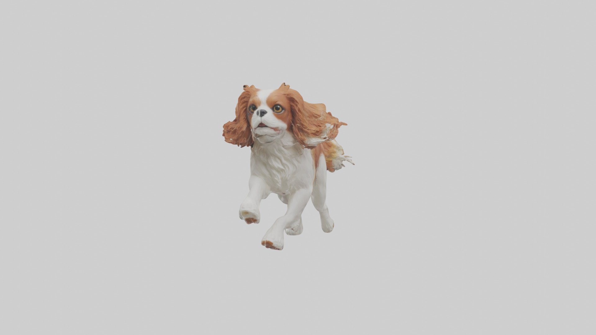Cavalier King Charles Spaniel running model Low-poly 3D model_10