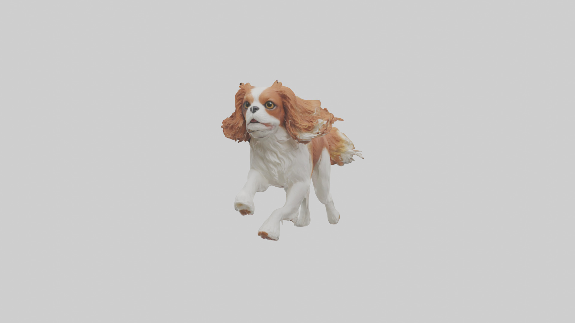 Cavalier King Charles Spaniel running model Low-poly 3D model_12