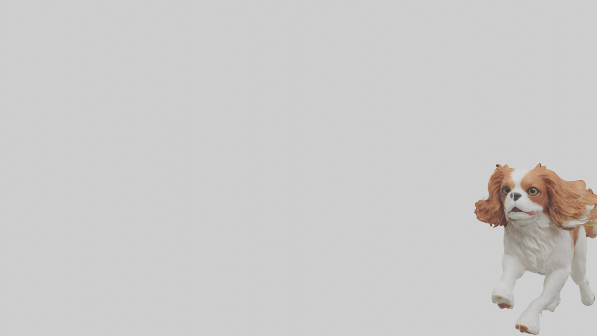 Cavalier King Charles Spaniel running model Low-poly 3D model_21