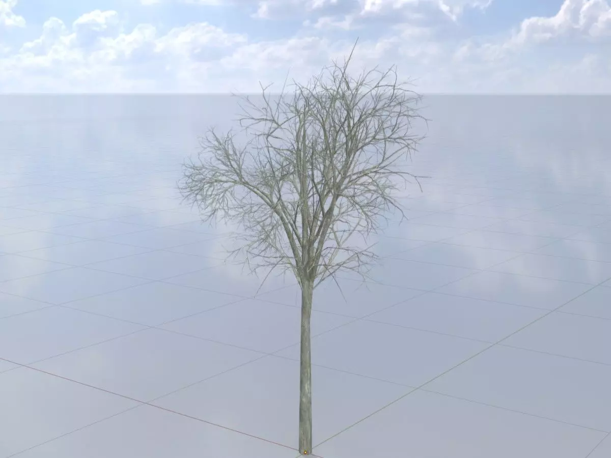 Persian walnut tree winter 2000mm Low-poly 3D model