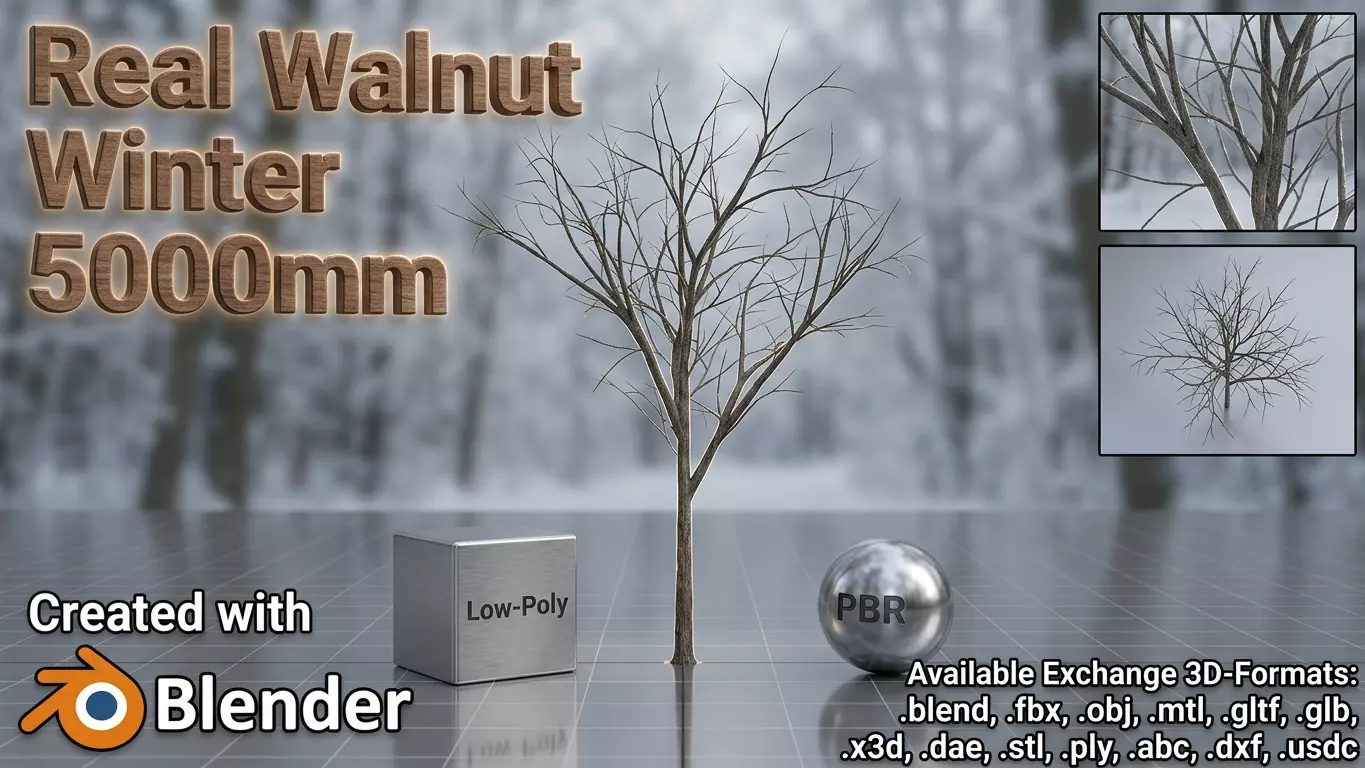 Persian walnut tree winter 5000mm Low-poly 3D model