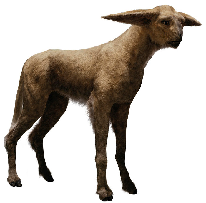 Star wars Fathiers 3D print model_4