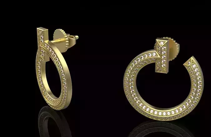 Earrings 29413