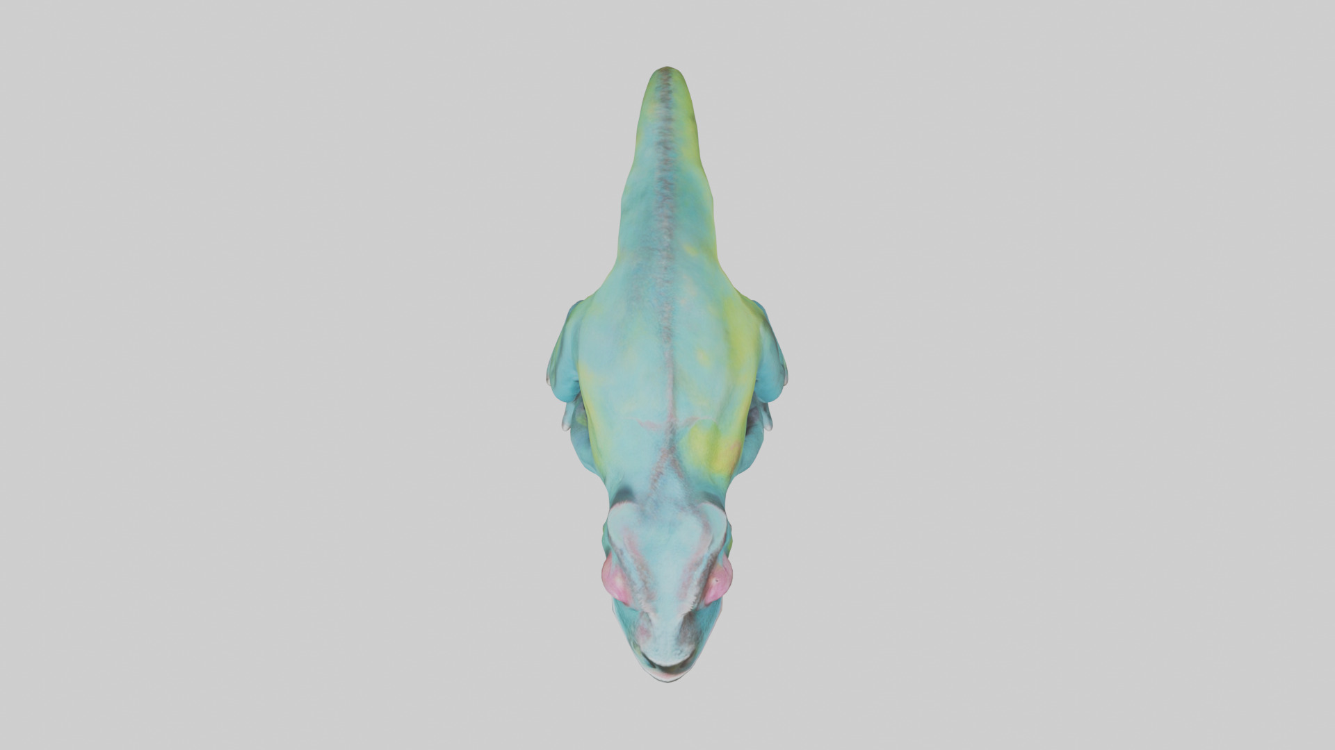 Chameleon Eyes Model Low-poly 3D model_24