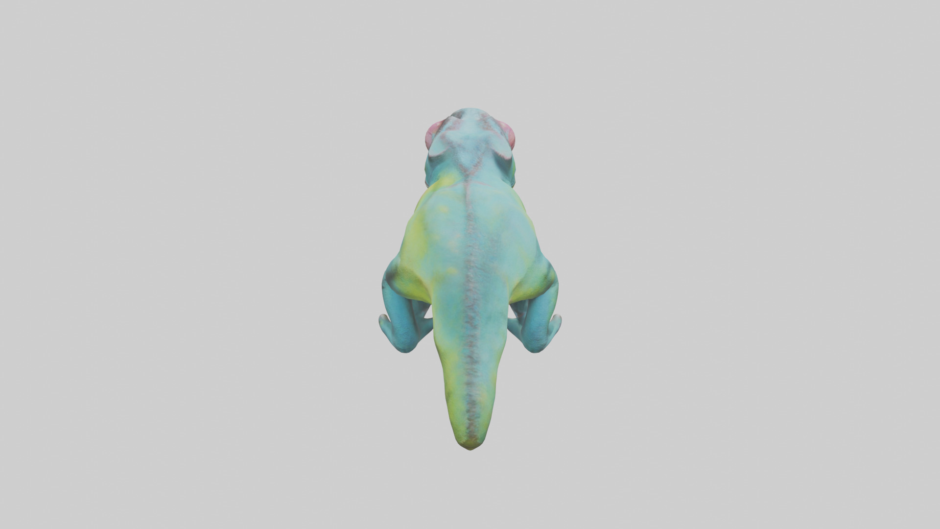Chameleon Eyes Model Low-poly 3D model_25