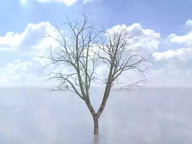 Persian walnut tree winter 12000mm Low-poly 3D model