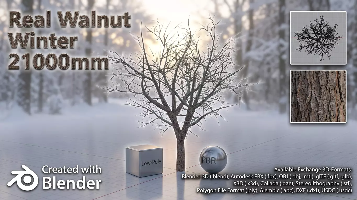 Persian walnut tree winter 21000mm Low-poly 3D model