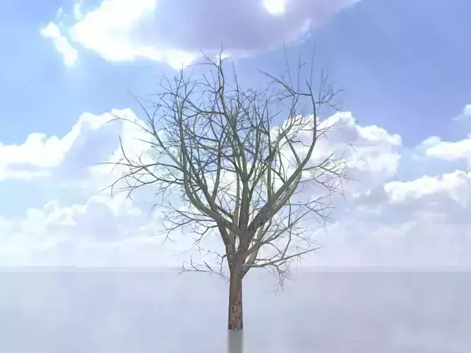 Persian walnut tree winter 30000mm Low-poly 3D model