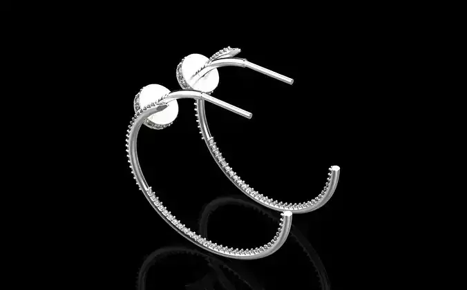 Earrings 10524