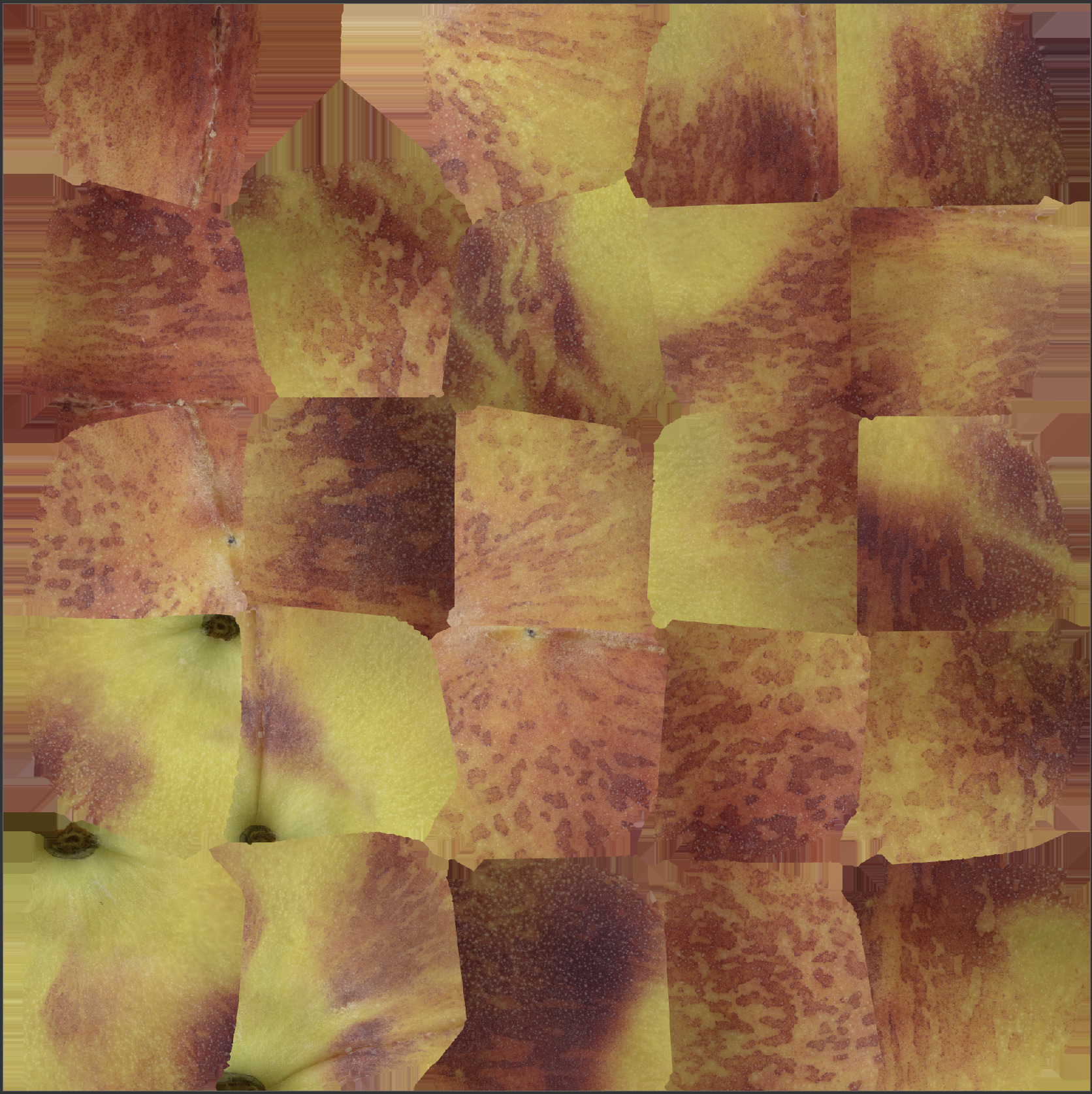 Peaches Set 01 Low-poly 3D model_10