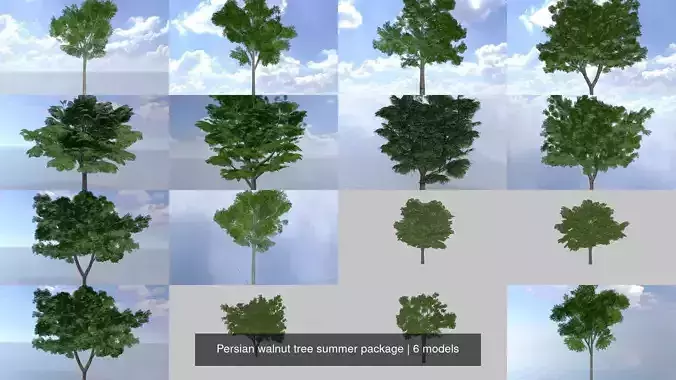 Persian walnut tree summer package 3D Model Collection