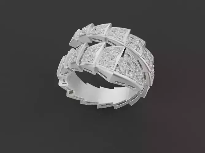 Snake Ring and Earrings 53382