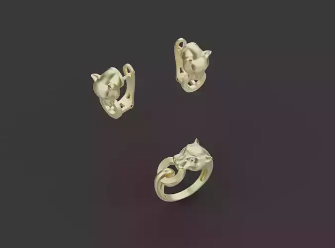 Ring and Earrings set 51980